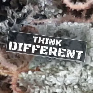 Think Different Cannabis Strain