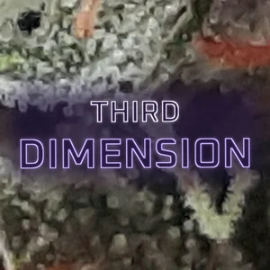 Third Dimension Cannabis Strain