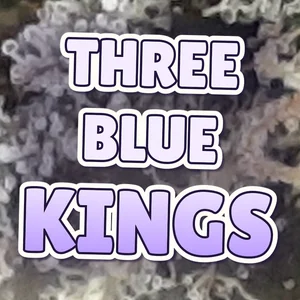 Three Blue Kings Cannabis Strain