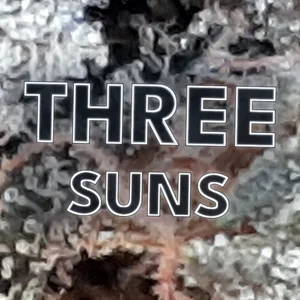 Three Suns Cannabis Strain