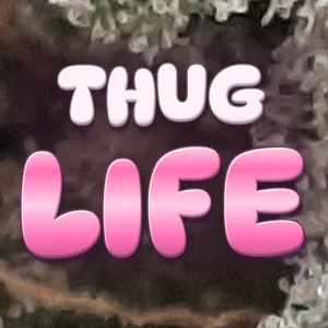 Thug Life Cannabis Strain