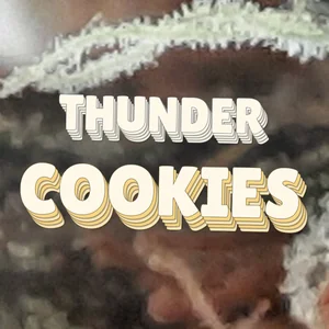 Thunder Cookies Cannabis Strain