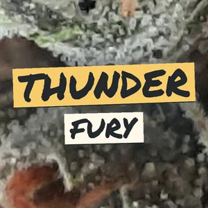 Thunder Fury Cannabis Strain