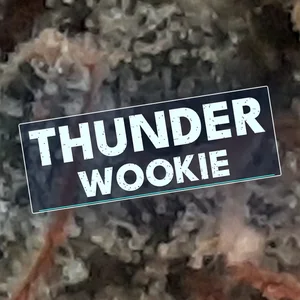 Thunder Wookie Cannabis Strain