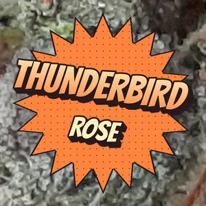 Thunderbird Rose Cannabis Strain