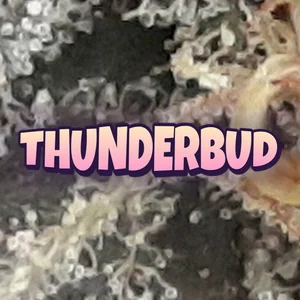 ThunderBud Cannabis Strain
