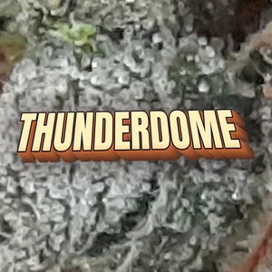 Thunderdome Cannabis Strain