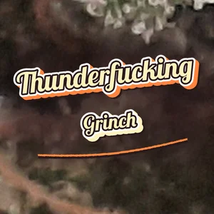 Thunderfucking Grinch Cannabis Strain