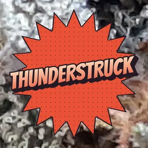 Thunderstruck Cannabis Strain