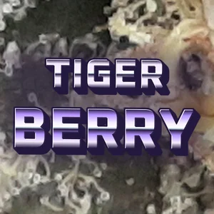 Tiger Berry Cannabis Strain