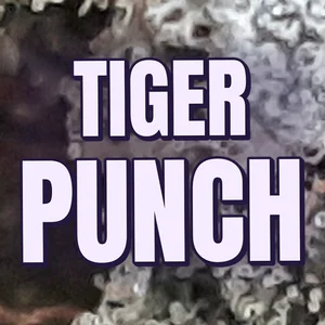 Tiger Punch Cannabis Strain