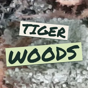Tiger Woods Cannabis Strain