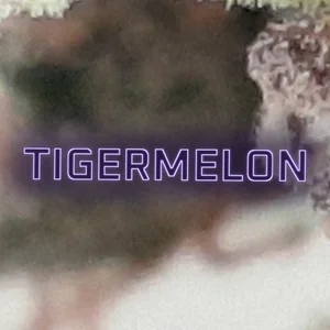 Tigermelon Cannabis Strain