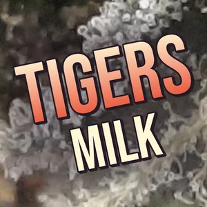 Tigers Milk Cannabis Strain