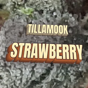 Tillamook Strawberry Cannabis Strain