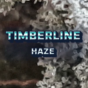 Timberline Haze Cannabis Strain