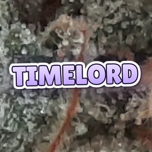 Timelord Cannabis Strain