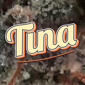 Tina Cannabis Strain