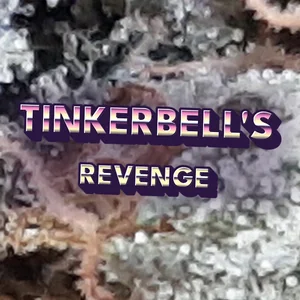 Tinkerbell's Revenge Cannabis Strain