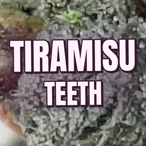 Tiramisu Teeth Cannabis Strain