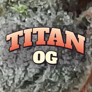 Titan OG Cannabis Strain