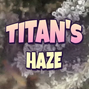 Titan's Haze Cannabis Strain