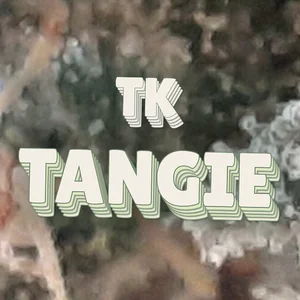 TK Tangie Cannabis Strain
