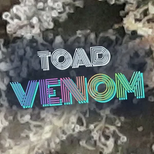 Toad Venom Cannabis Strain