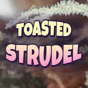 Toasted Strudel Cannabis Strain