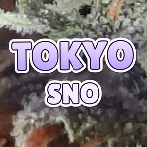 Tokyo Sno Cannabis Strain