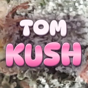 Tom Kush Cannabis Strain