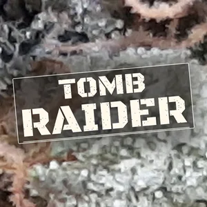 Tomb Raider Cannabis Strain