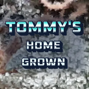 Tommy's Home Grown Cannabis Strain