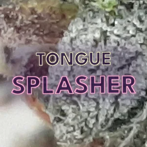 Tongue Splasher Cannabis Strain