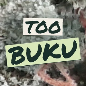 Too Buku Cannabis Strain