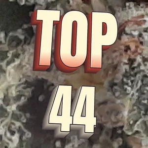 Top 44 Cannabis Strain