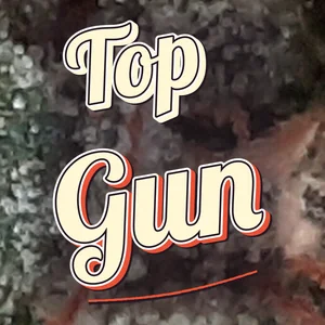 Top Gun Cannabis Strain