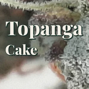 Topanga Cake Cannabis Strain