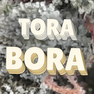 Tora Bora Cannabis Strain