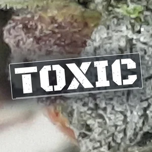 Toxic Cannabis Strain