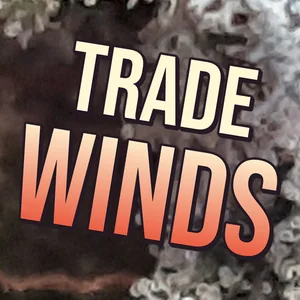 Trade Winds Cannabis Strain