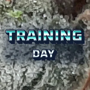 Training Day Cannabis Strain