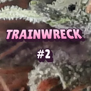 Trainwreck #2 Cannabis Strain