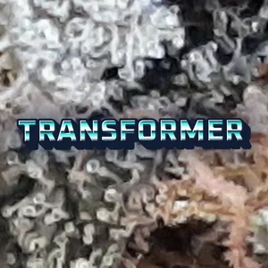 Transformer Cannabis Strain
