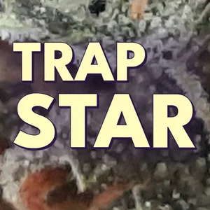 Trap Star Cannabis Strain
