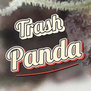Trash Panda Cannabis Strain