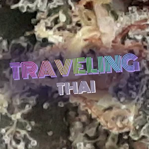 Traveling Thai Cannabis Strain