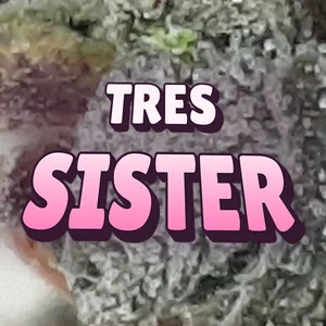 Tres Sister Cannabis Strain