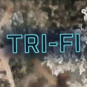 Tri-Fi Cannabis Strain