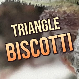 Triangle Biscotti Cannabis Strain